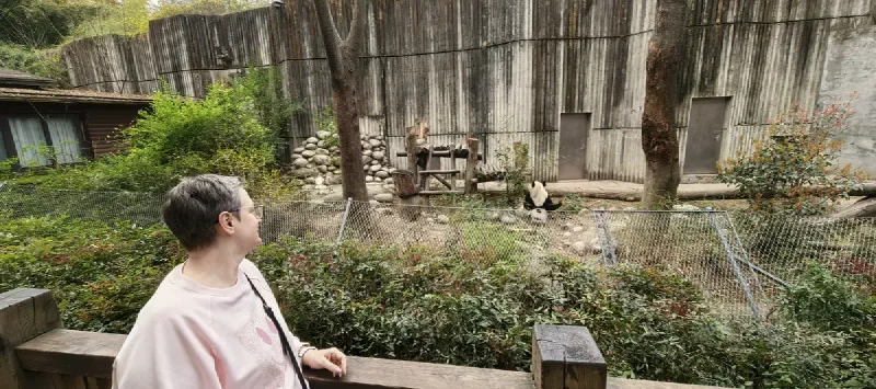 Пандовая резервация в Чэнду. Больше 200 панд на территории