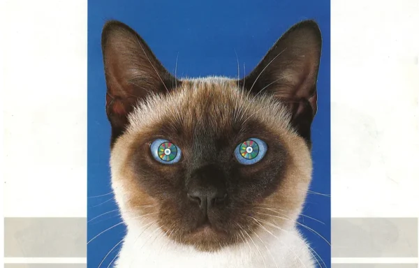 DENON (1987.01) CD by DENON